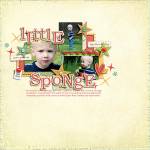 LittleSponge-1-600.jpg