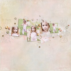 fly-on-fairy-wings fly-on-fairy-wings