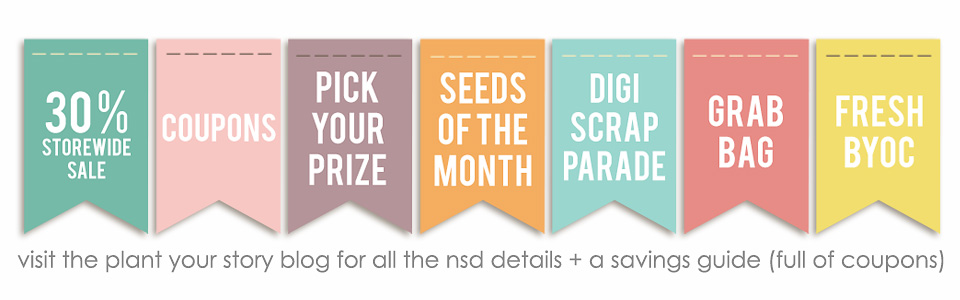 nsdbigblogbanner